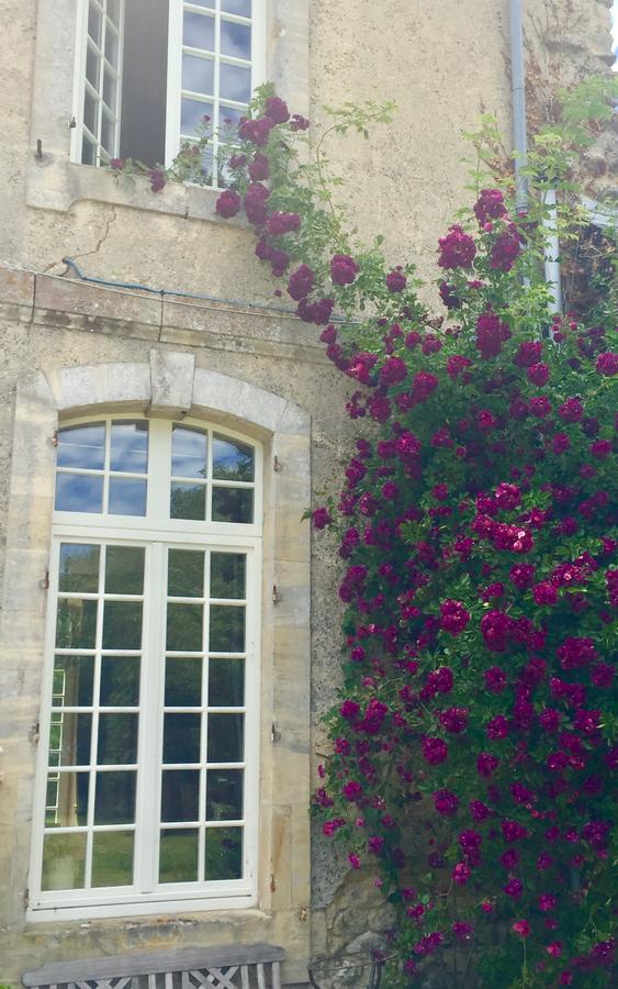 Villa L'Orangerie Du Grand Jardin Condé-sur-Seulles Exterior foto